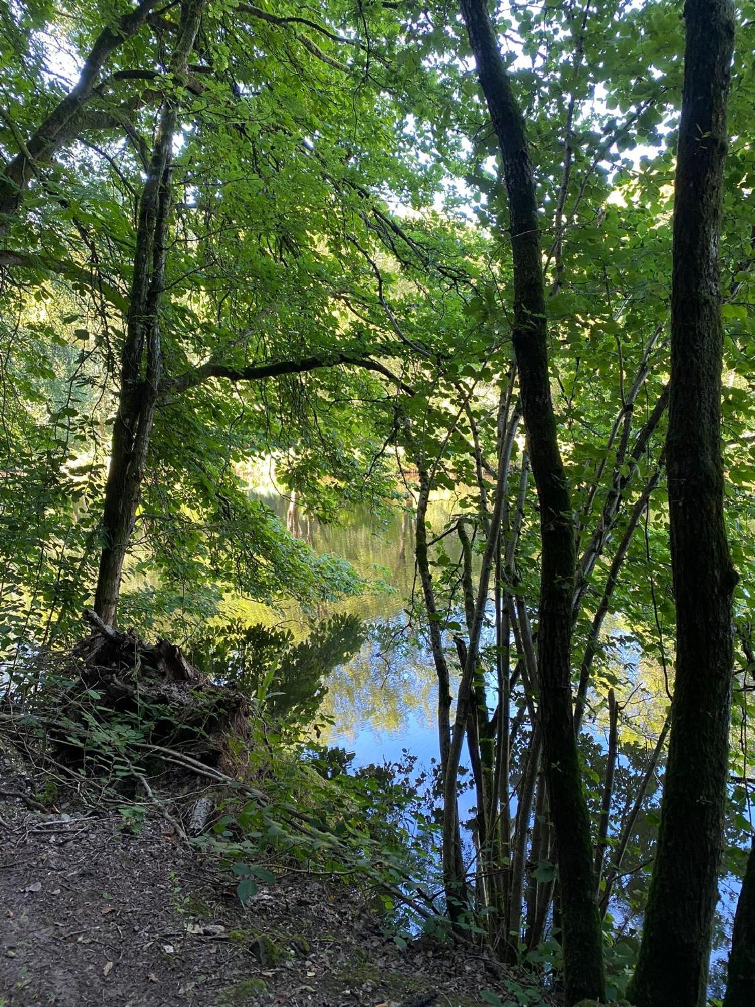 Großlittgen Ferienhaus Vulkaneifel Abtei Himmerod מראה חיצוני תמונה