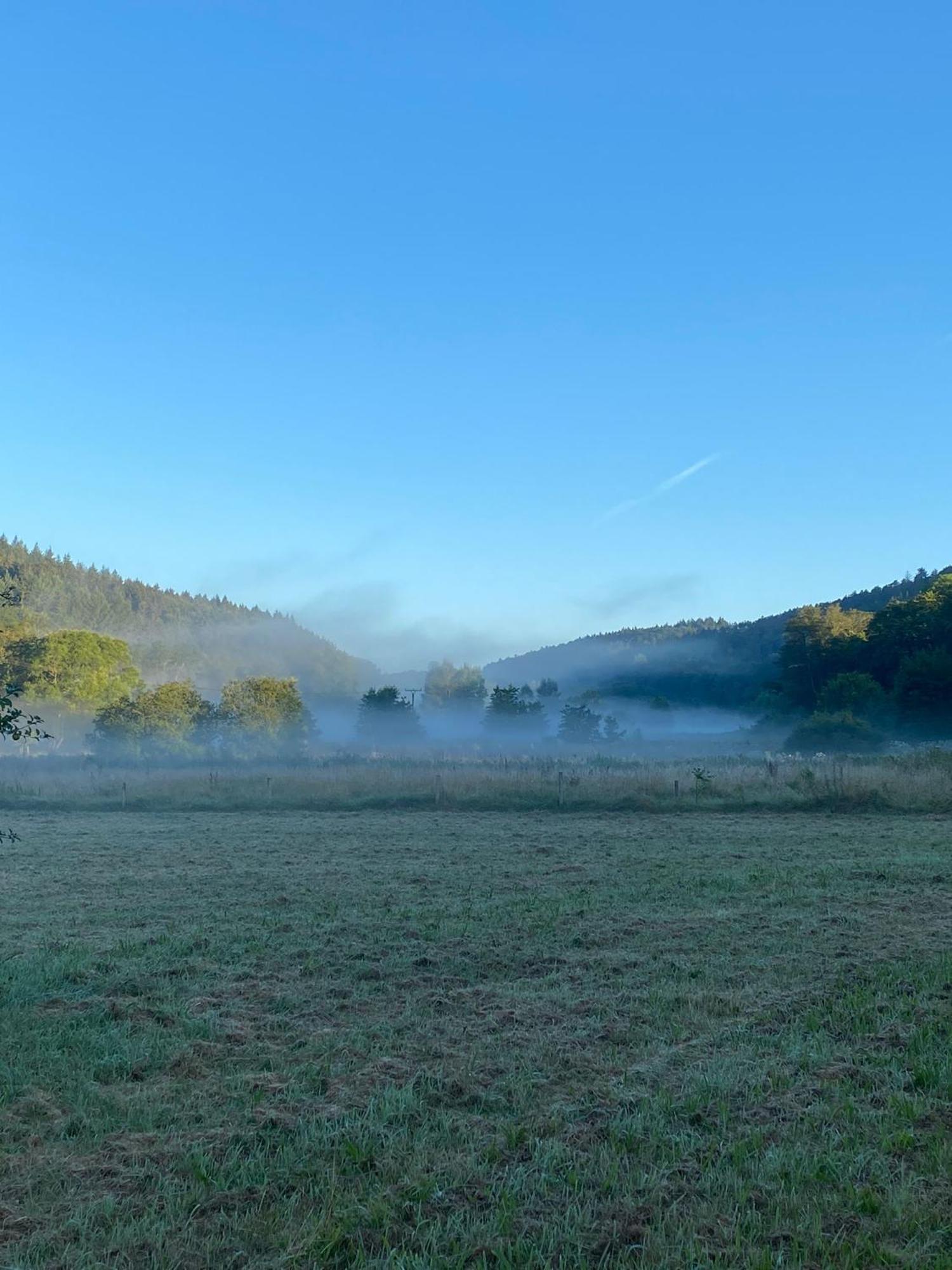 Großlittgen Ferienhaus Vulkaneifel Abtei Himmerod מראה חיצוני תמונה