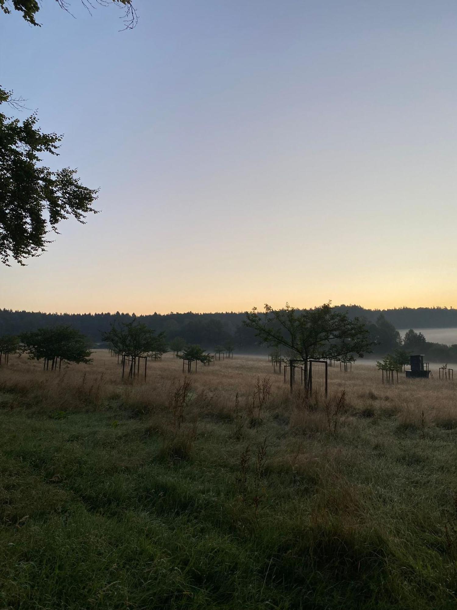 Großlittgen Ferienhaus Vulkaneifel Abtei Himmerod מראה חיצוני תמונה