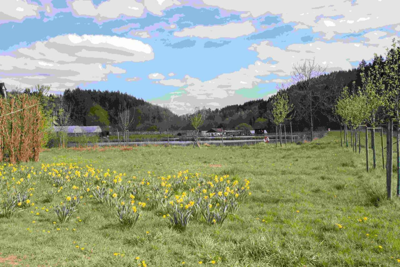 Großlittgen Ferienhaus Vulkaneifel Abtei Himmerod מראה חיצוני תמונה
