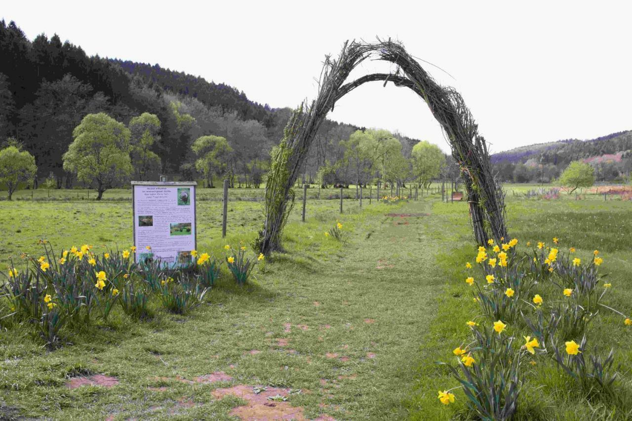 Großlittgen Ferienhaus Vulkaneifel Abtei Himmerod מראה חיצוני תמונה