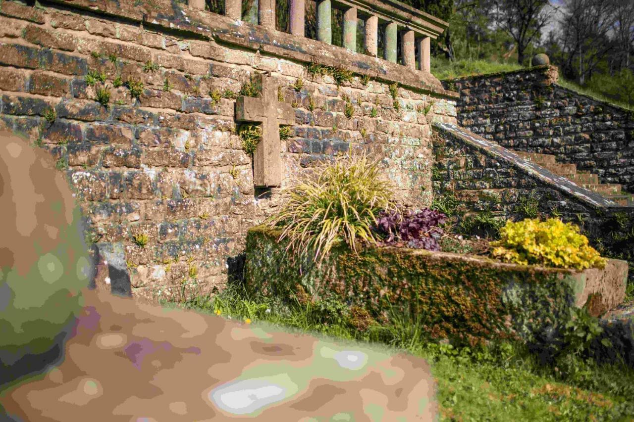 Großlittgen Ferienhaus Vulkaneifel Abtei Himmerod מראה חיצוני תמונה