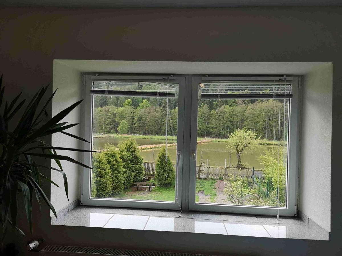 Großlittgen Ferienhaus Vulkaneifel Abtei Himmerod מראה חיצוני תמונה